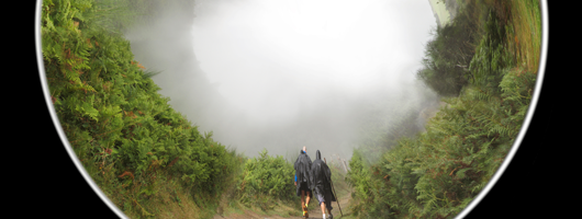 THE CAMINO DE SANTIAGO ON 360º. FROM SANT JEAN PIED DE PORT TO FINISTERRE. GOYO GONZÁLEZ